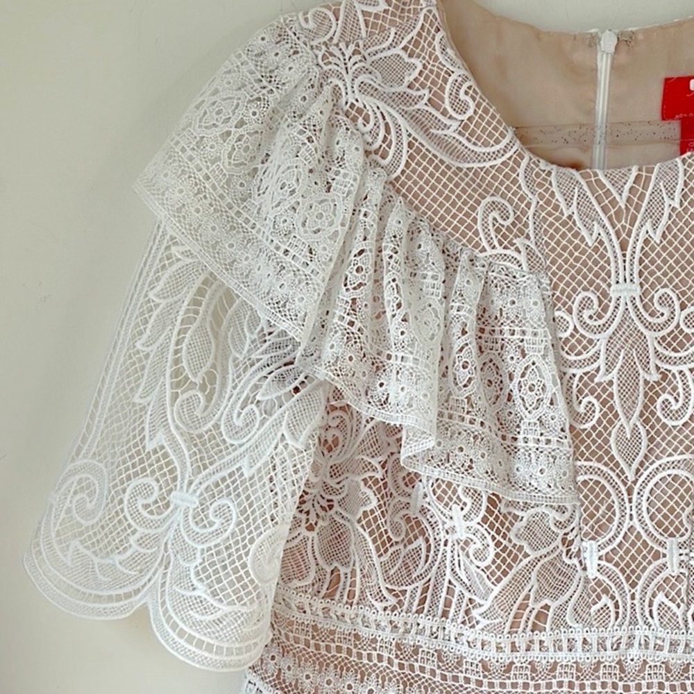 NWOT MONIQUE LHUILLIER Lace Dress; A-Line, Short Sleeves, Jewel Neckline - Picture 5 of 8
